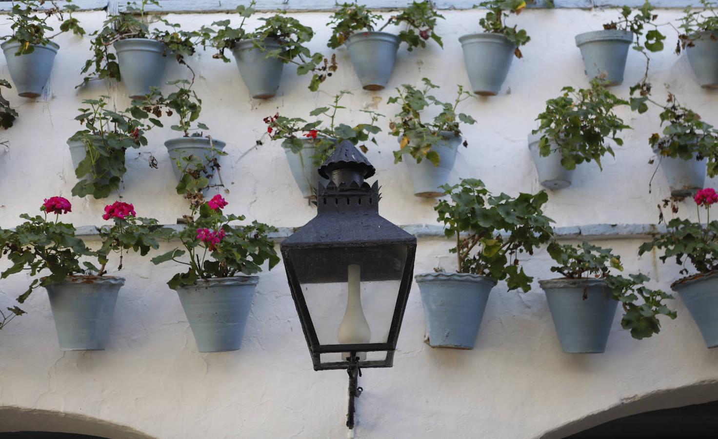 En imágenes, los patios de Bodegas Campos en Córdoba y la casa de Badanas, 15