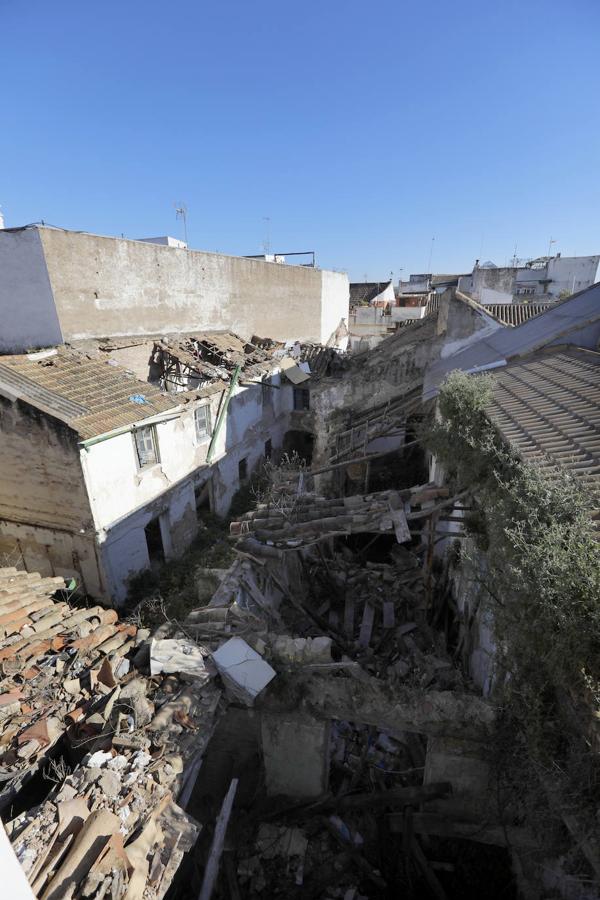 En imágenes, los patios de Bodegas Campos en Córdoba y la casa de Badanas, 15