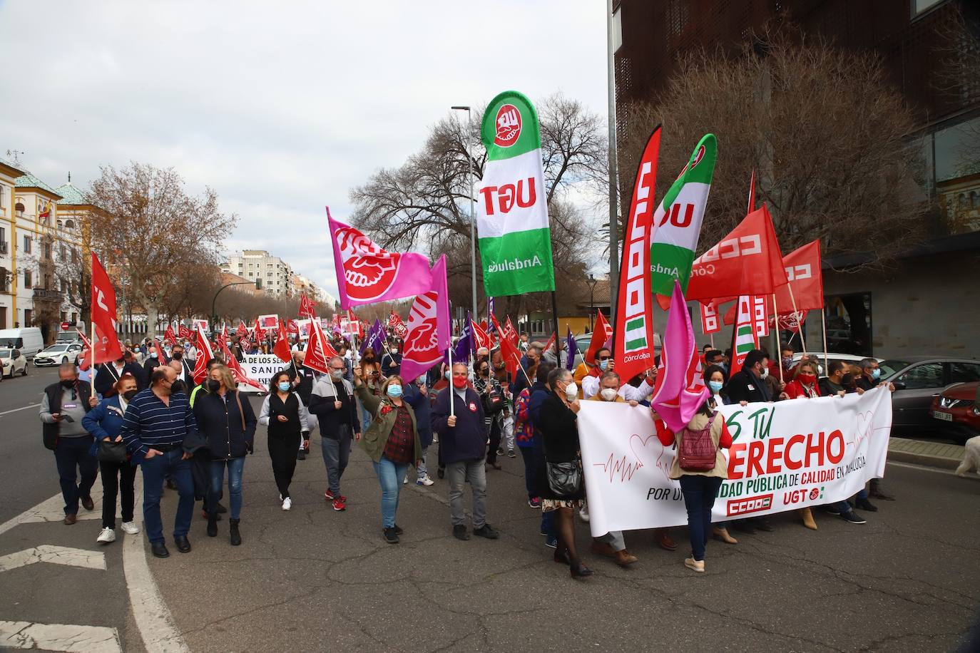 La manifestación en defensa de la sanidad pública en Córdoba, en imágenes