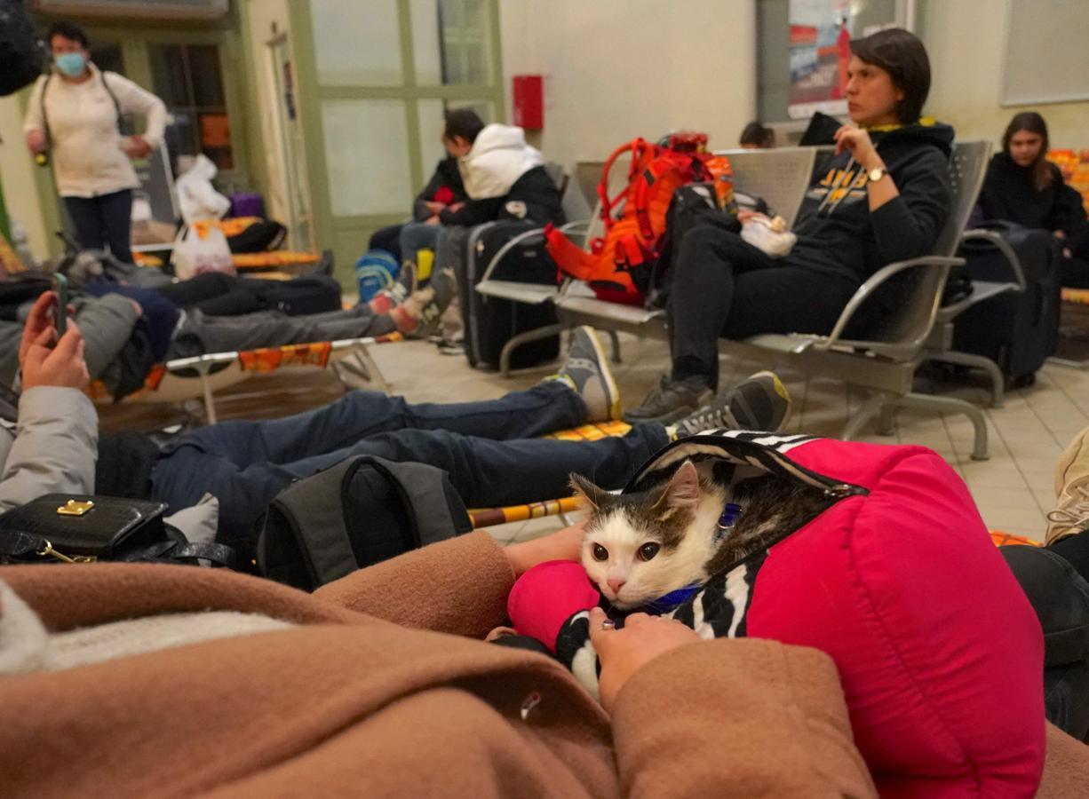 Una mujer con su gato se refugian en la estación de tren de Przemysl (Polonia), cerca de la frontera ucraniana. 