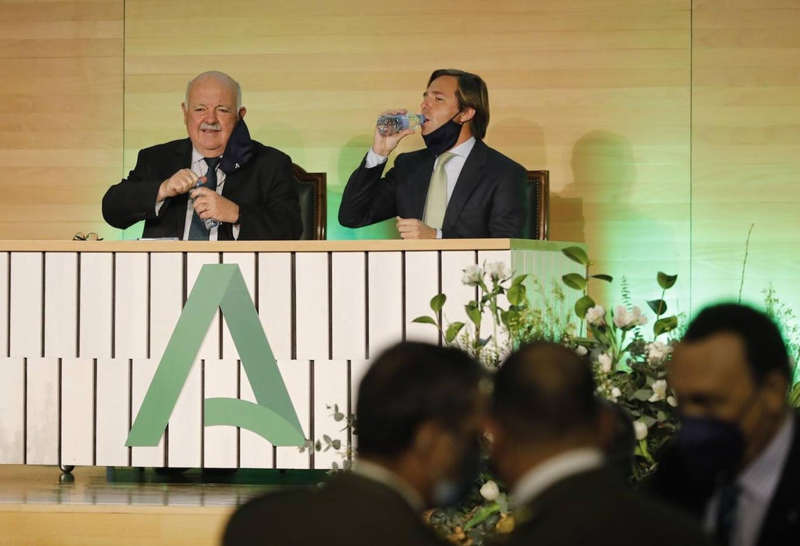 La entrega de las banderas de Andalucía en Córdoba, en imágenes