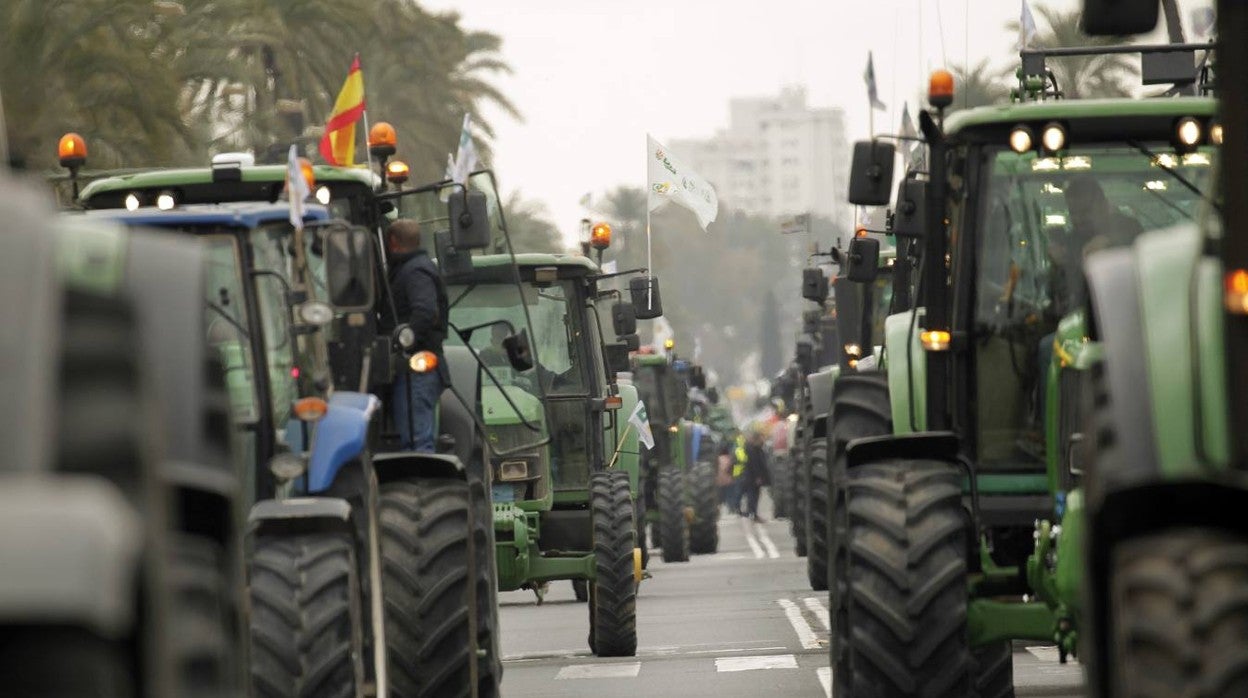 En imágenes, los agricultores andaluces piden medidas para garantizar la viabilidad del campo