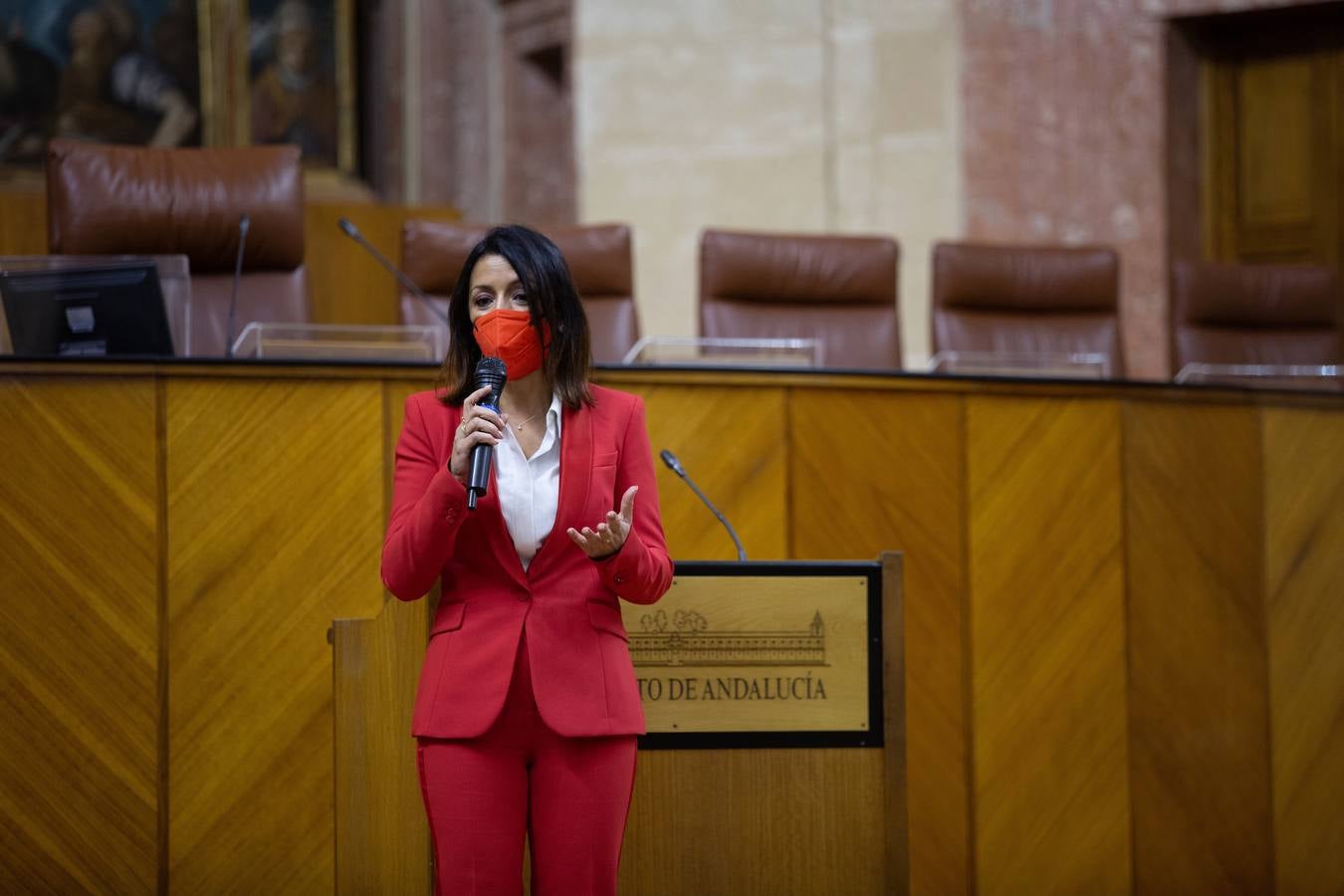 Jornada de puertas abiertas en el Parlamento de Andalucía con motivo del 28F . VANESSA GÓMEZ