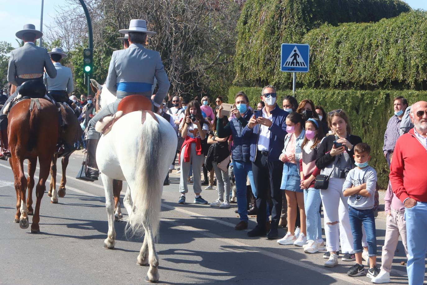 La Marcha Hípica por el día de Andalucía en Córdoba, en imágenes