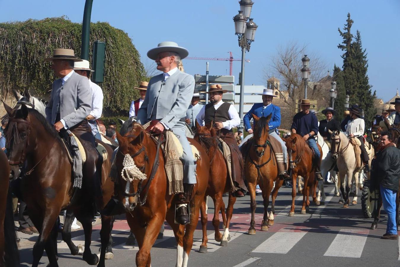 (Vídeo) Cientos de caballos llenan de alegría y color las calles de Córdoba