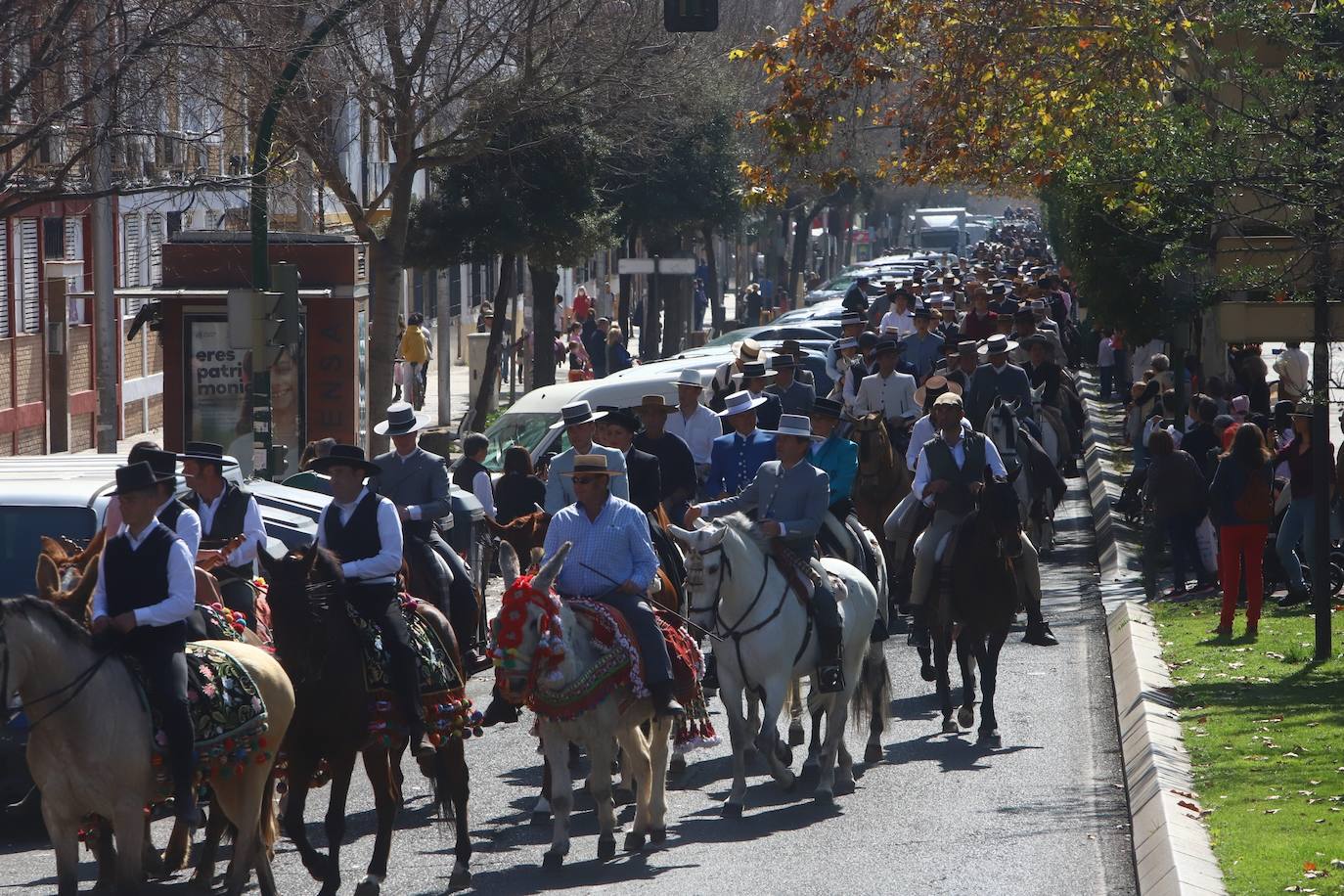 La Marcha Hípica por el día de Andalucía en Córdoba, en imágenes