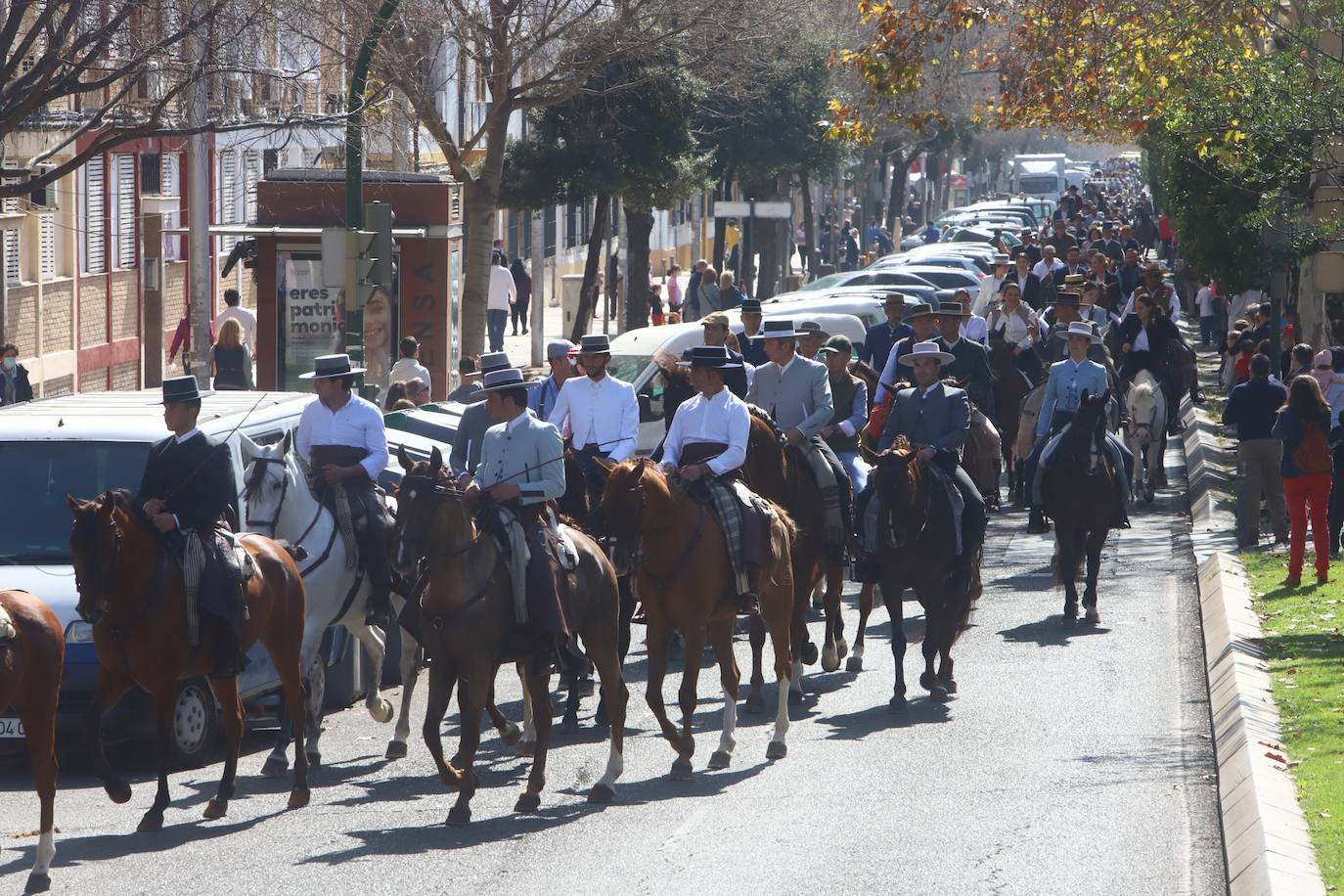 La Marcha Hípica por el día de Andalucía en Córdoba, en imágenes