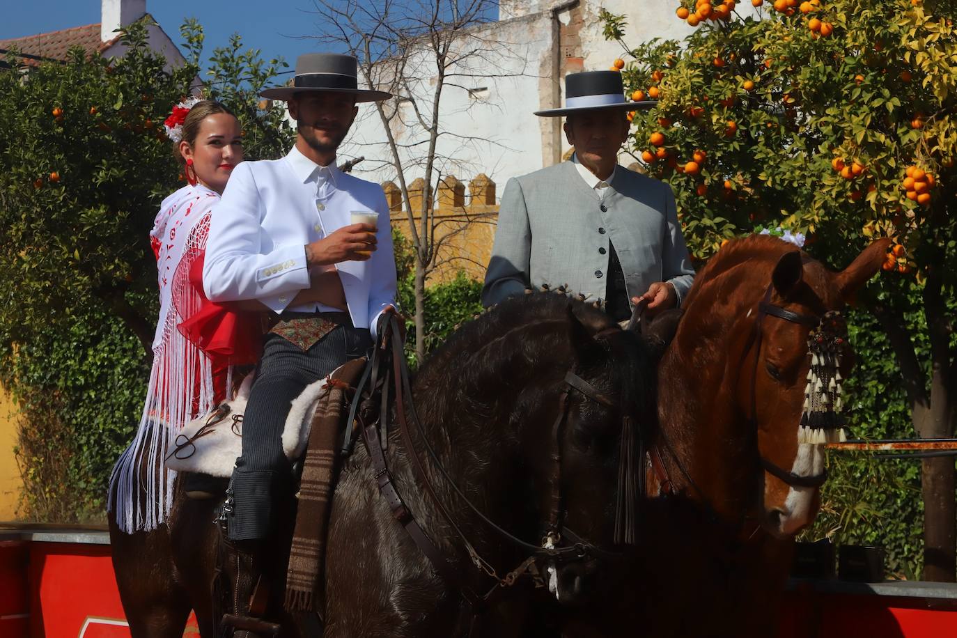 La Marcha Hípica por el día de Andalucía en Córdoba, en imágenes