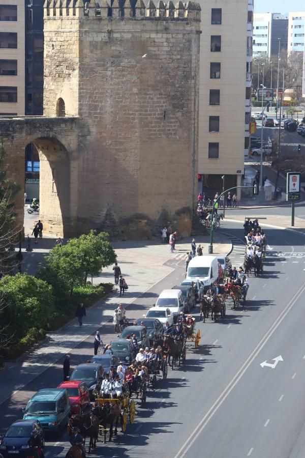 La Marcha Hípica por el día de Andalucía en Córdoba, en imágenes