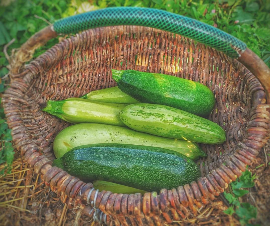 Calabacín. El calabacín contiene 17 kcal por cada 100 gramos del producto, y destaca por el agua (94,6 gramos por cada 100 gramos del productos, según datos de la Bedca), calcio (19 gramos por cada 100 gramos comestible del producto), magnesio (18 gramos por cada 100 gramos de la parte comestible de los calabacines) y potasio (230 gramos por cada 100 gramos del alimento). Son muchas las recetas que se pueden preparar con esta verdura que principalmente en verano se encuentra en su momento más óptimo de consumo.