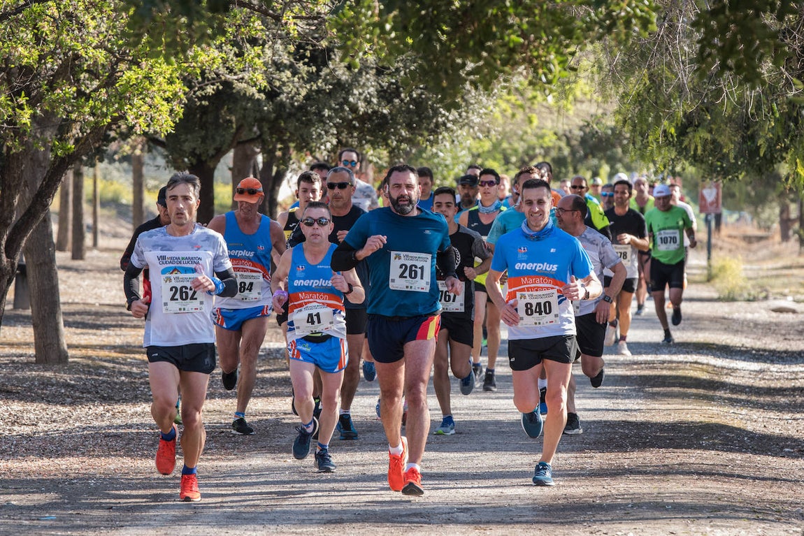 La Media Maratón de Lucena, en imágenes
