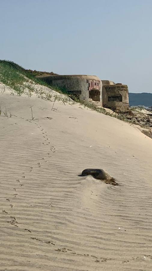 Búnker de la playa del Retín. 