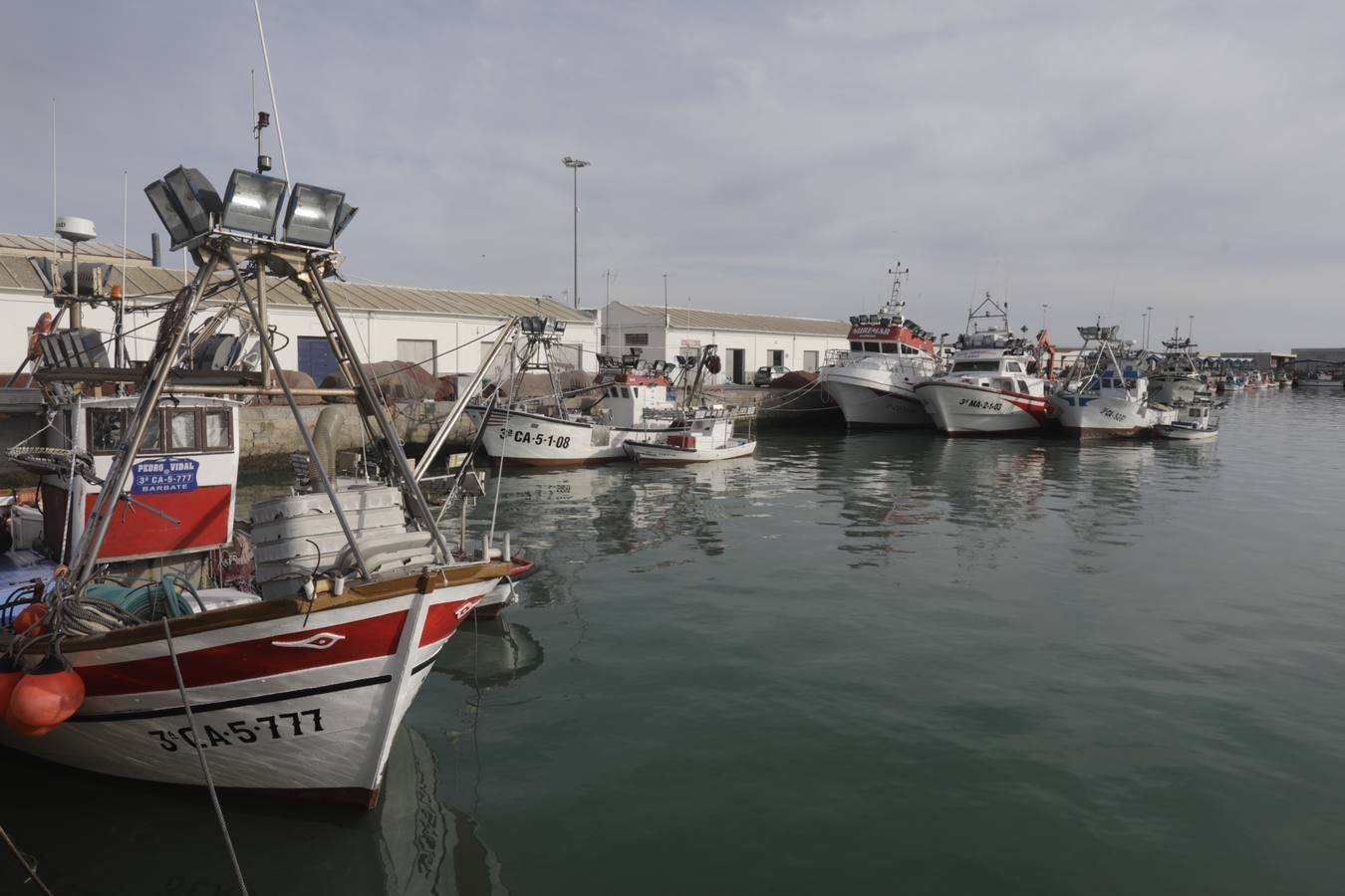 Foros: Paro indefinido de la flota de cerco de Barbate por la subida del combustible