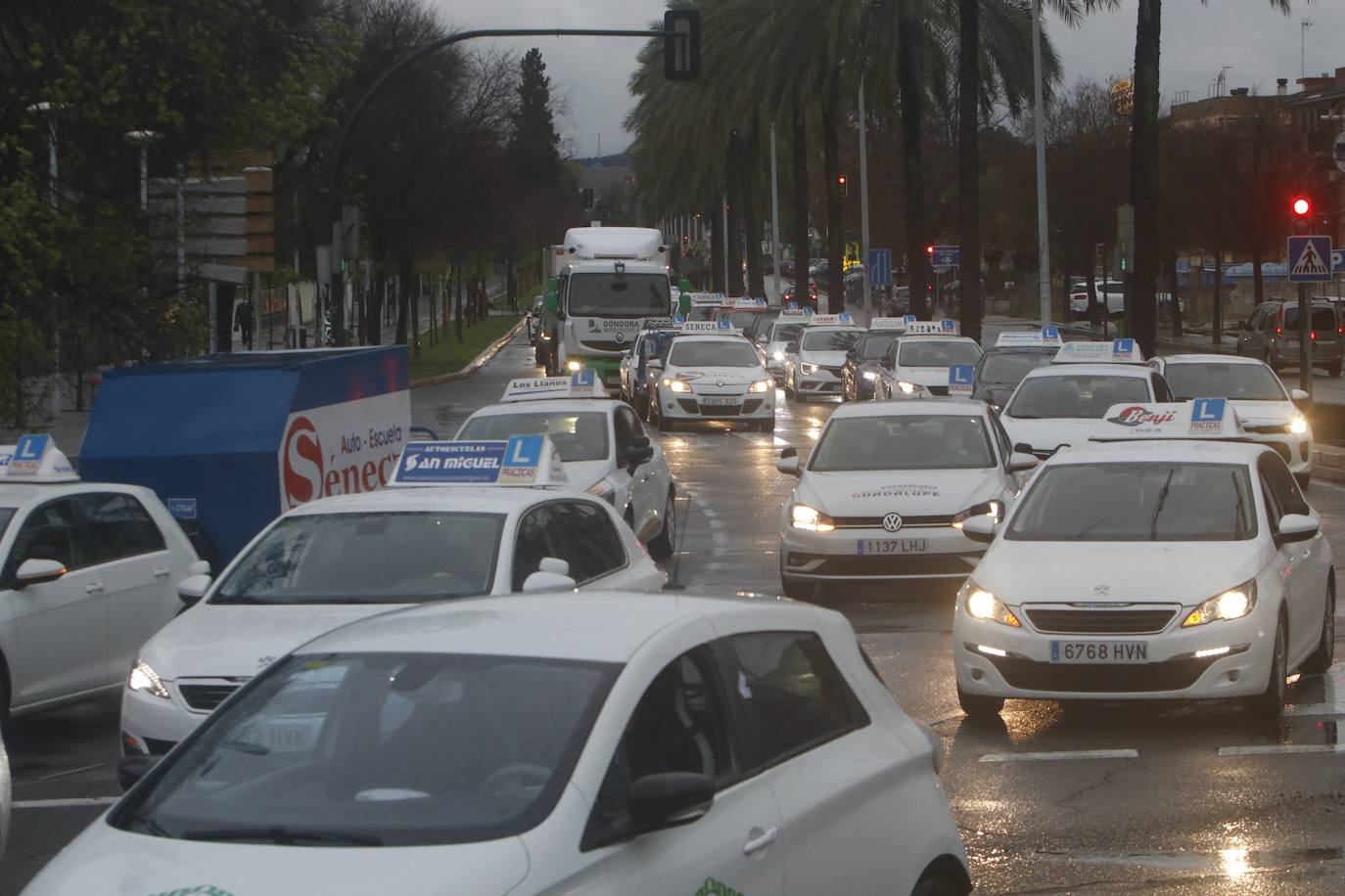 La marcha de protesta de las autoescuelas de Córdoba, en imágenes