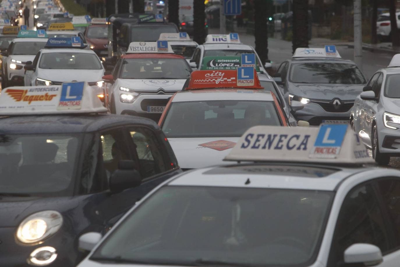 La marcha de protesta de las autoescuelas de Córdoba, en imágenes