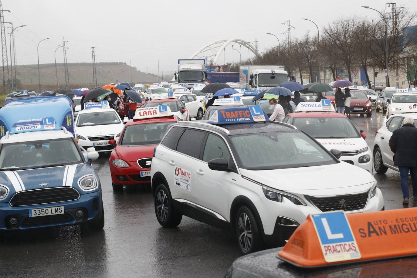 La marcha de protesta de las autoescuelas de Córdoba, en imágenes