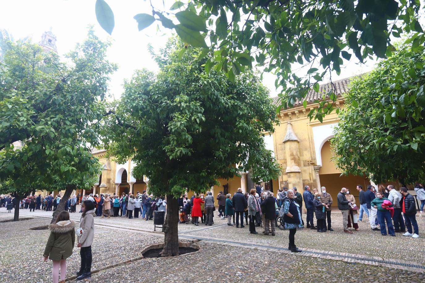 &#039;Vía Crucis. El musical&#039;, en la Catedral de Córdoba, en imágenes