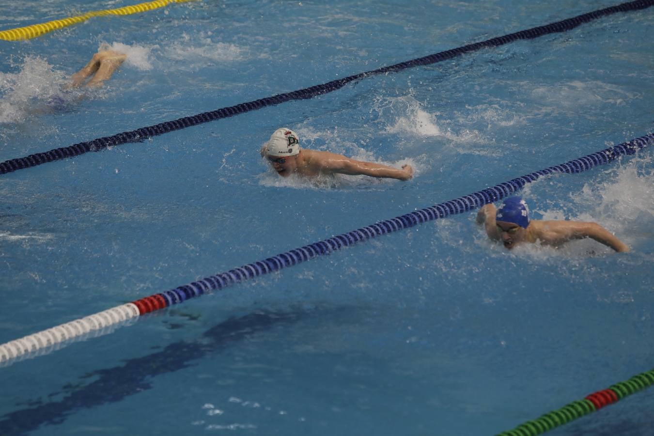 FOTOS: El Campeonato de España Infantil de natación en Cádiz