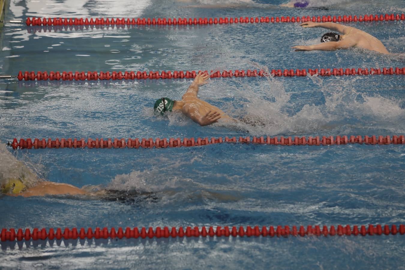 FOTOS: El Campeonato de España Infantil de natación en Cádiz