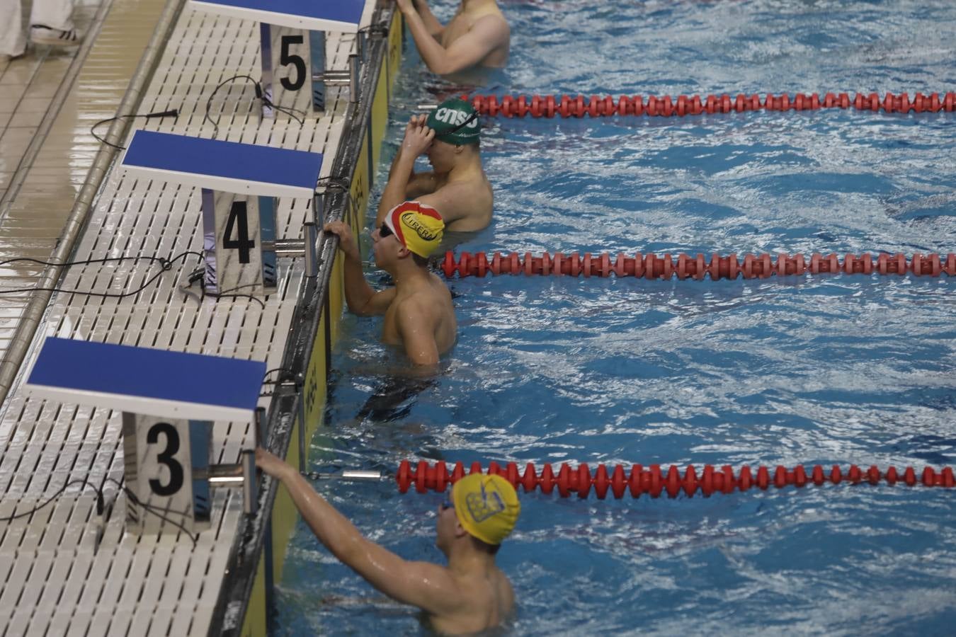 FOTOS: El Campeonato de España Infantil de natación en Cádiz