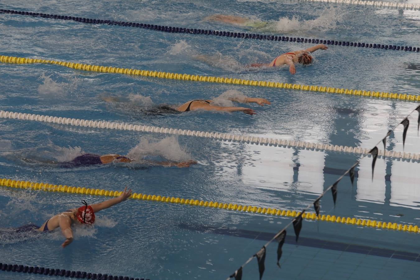 FOTOS: El Campeonato de España Infantil de natación en Cádiz