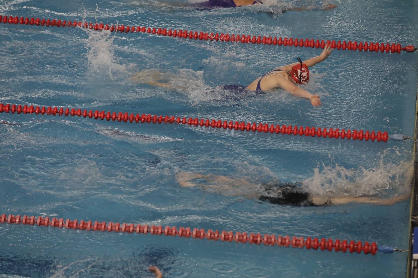 FOTOS: El Campeonato de España Infantil de natación en Cádiz