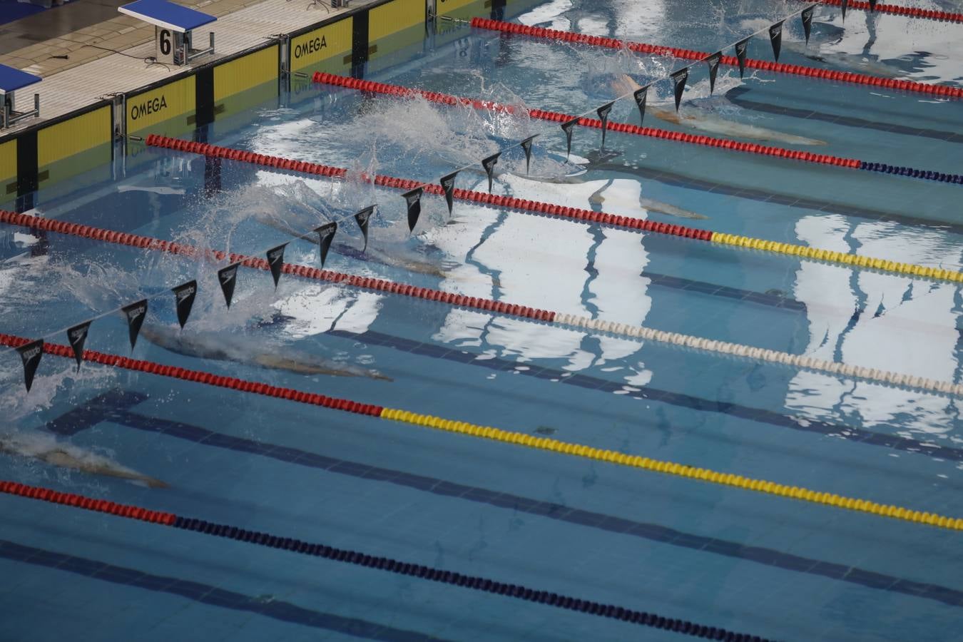 FOTOS: El Campeonato de España Infantil de natación en Cádiz