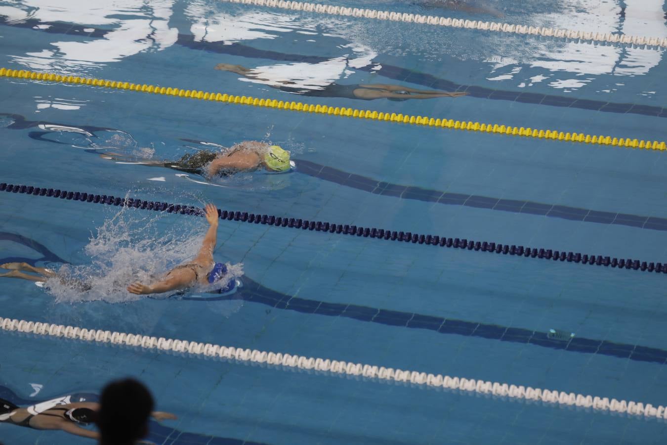 FOTOS: El Campeonato de España Infantil de natación en Cádiz