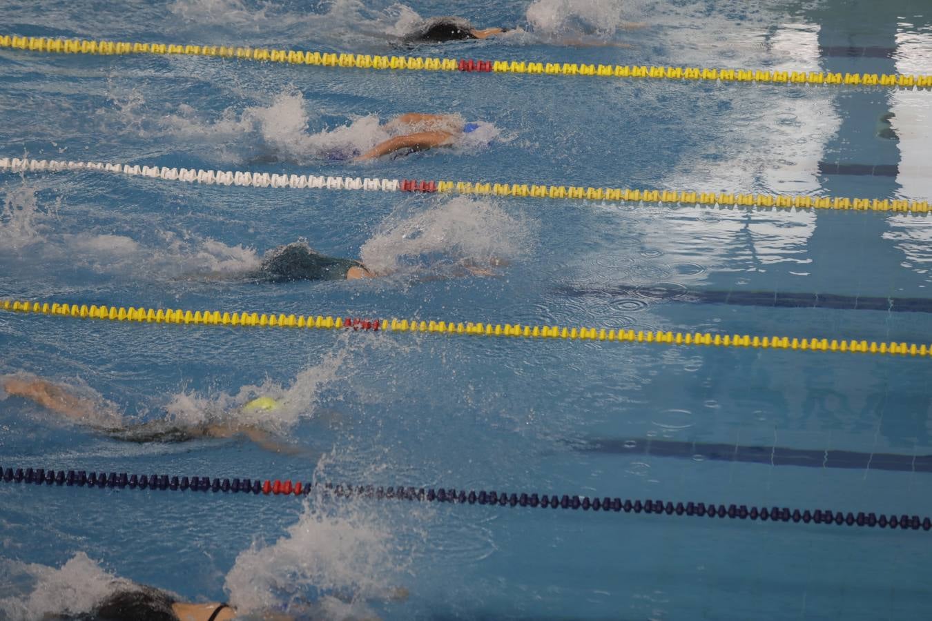 FOTOS: El Campeonato de España Infantil de natación en Cádiz