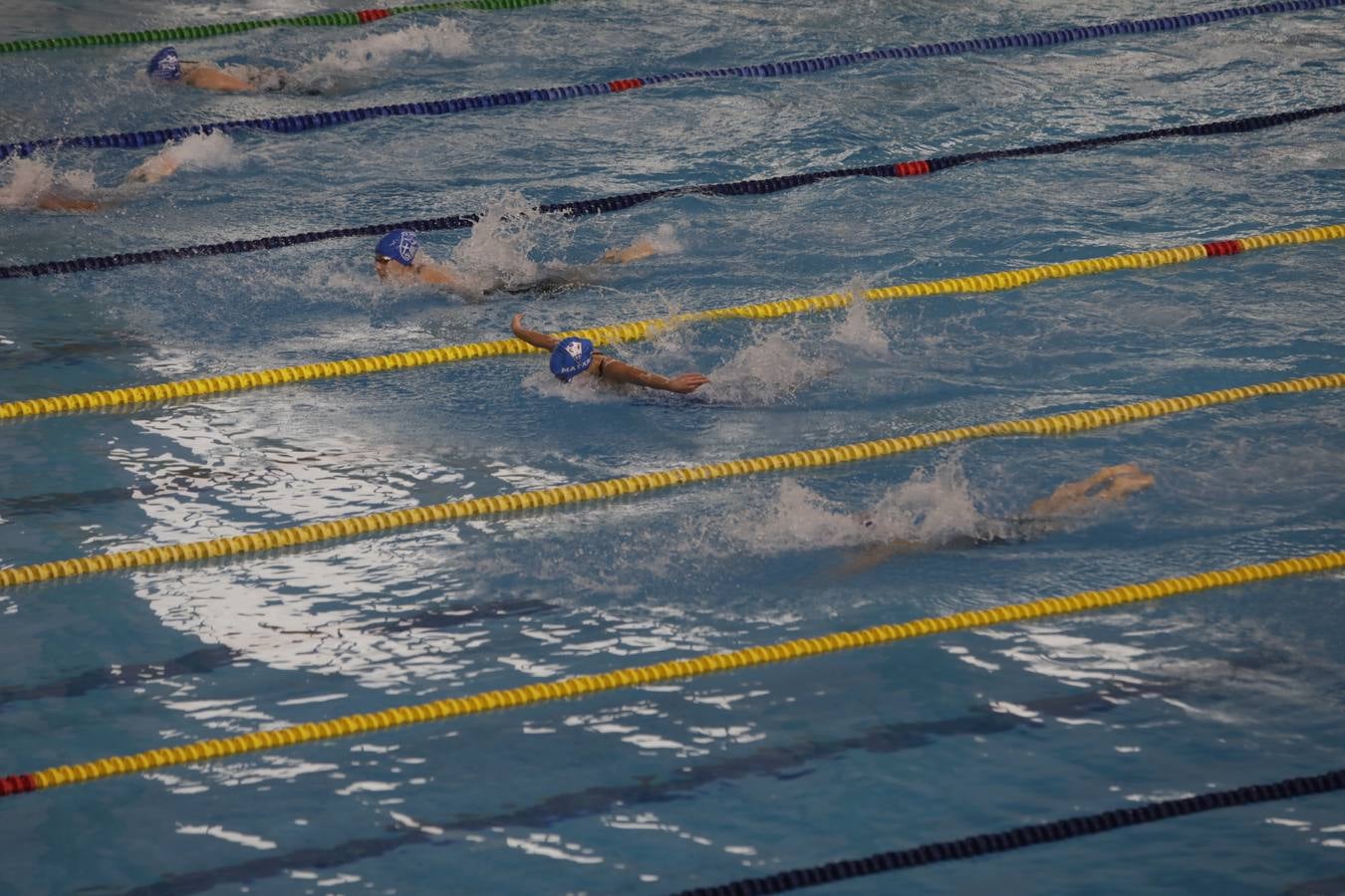 FOTOS: El Campeonato de España Infantil de natación en Cádiz