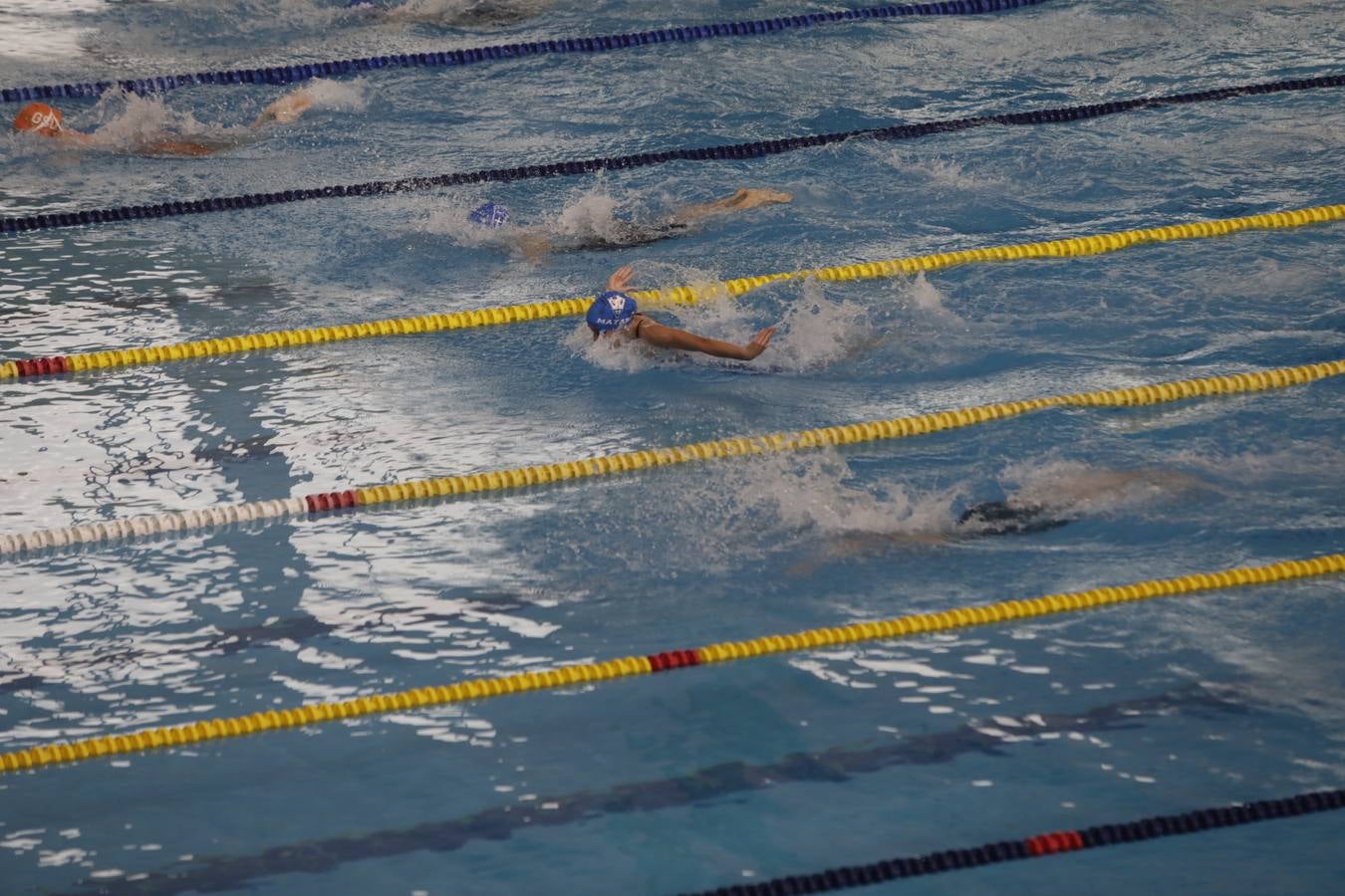 FOTOS: El Campeonato de España Infantil de natación en Cádiz