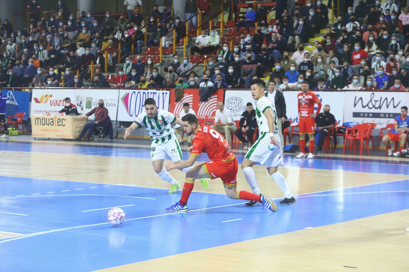 El Córdoba Patrimonio - Jimbee Cartagena de fútbol sala, en imágenes