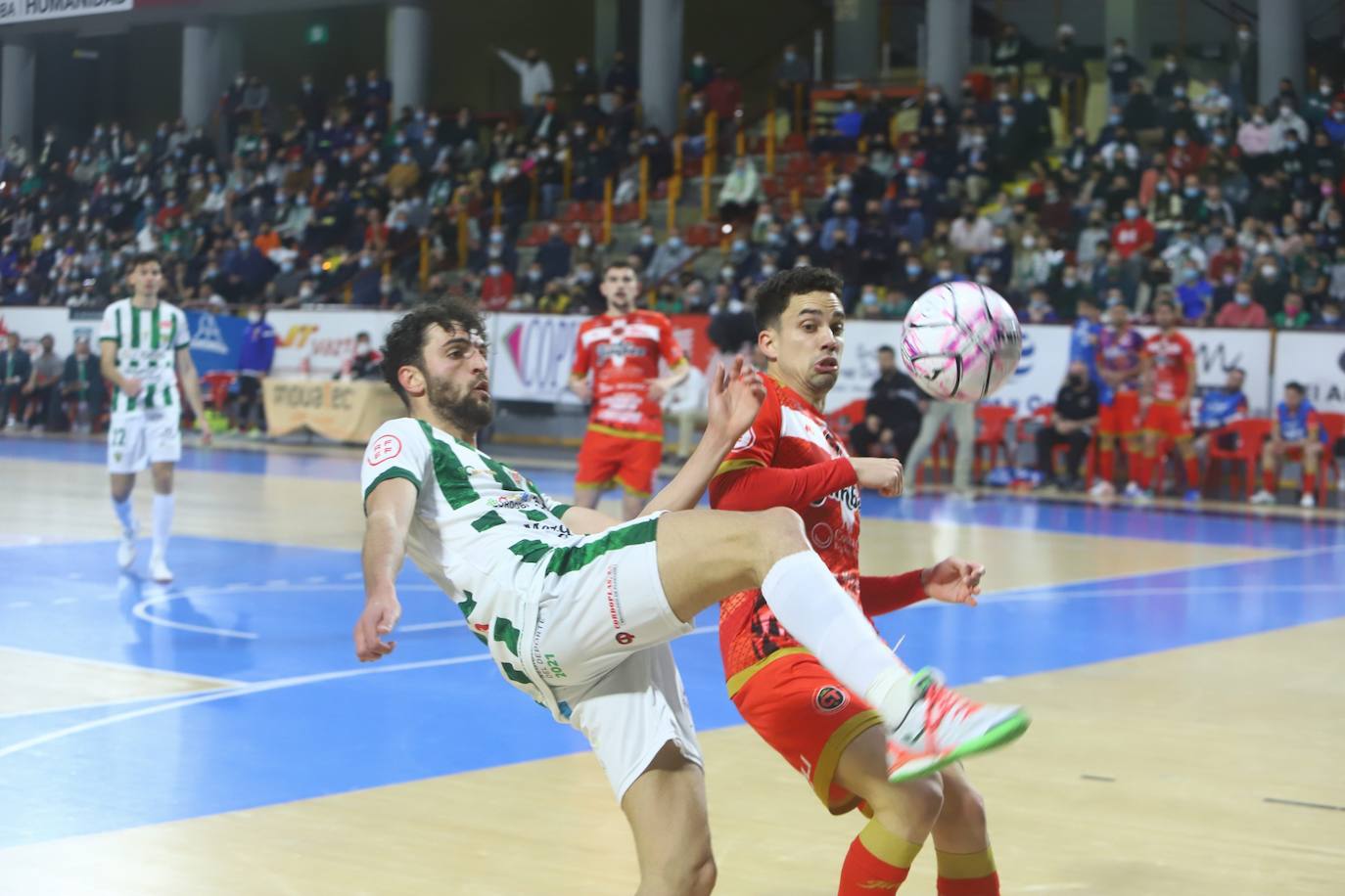 El Córdoba Patrimonio - Jimbee Cartagena de fútbol sala, en imágenes