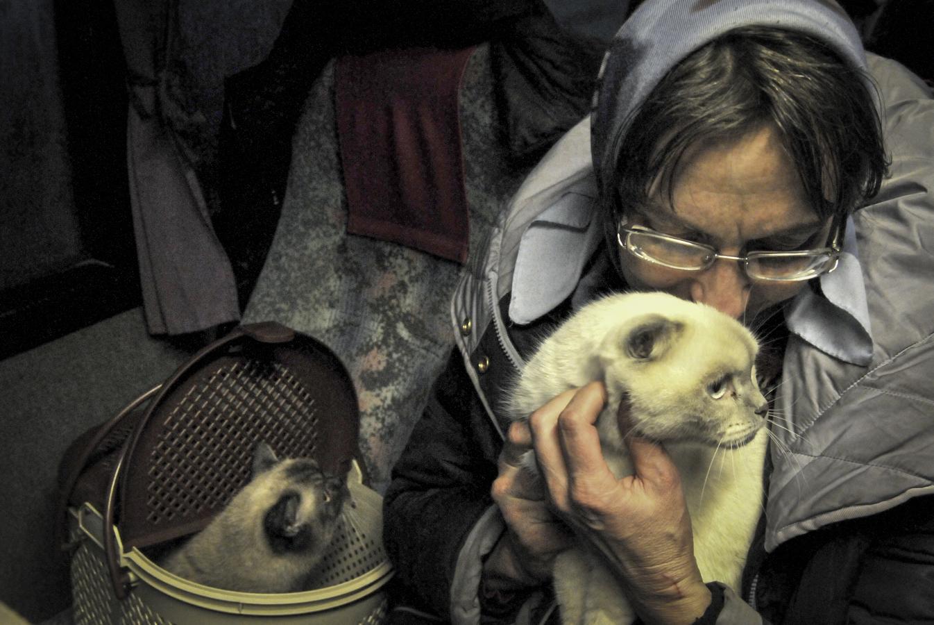 Refugiados de Mariúpol llegan a Rostov, Rusia. 