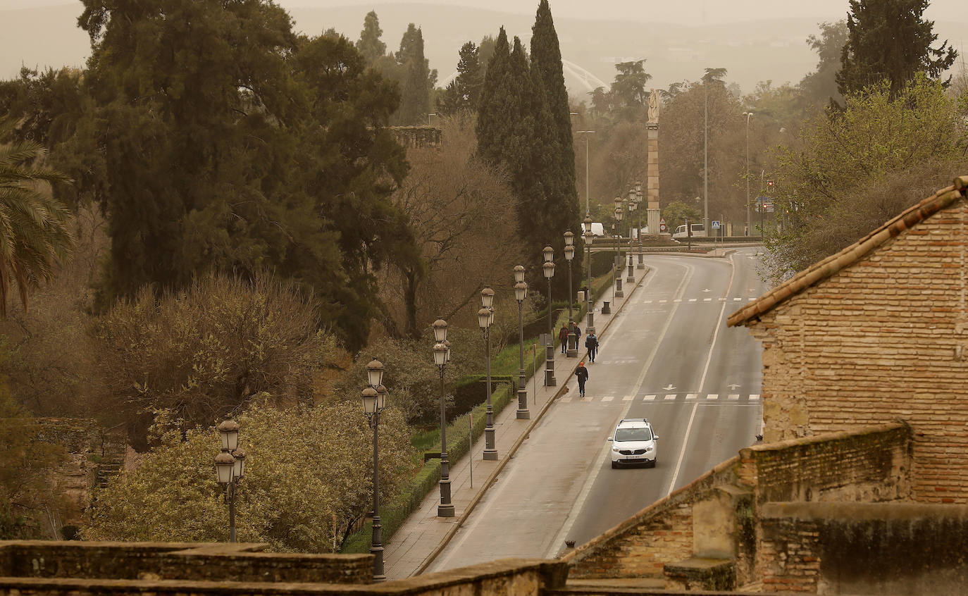 La avenida del Alcázar de Córdoba, en imágenes