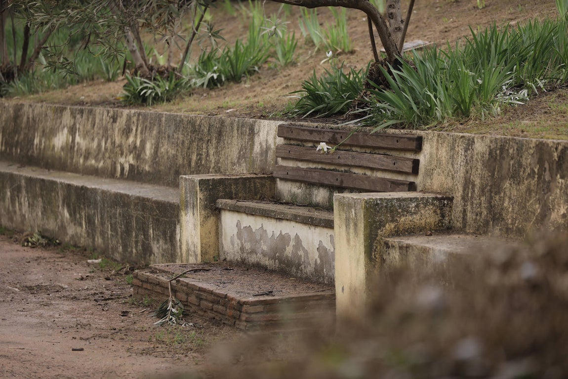 La avenida del Alcázar de Córdoba, en imágenes