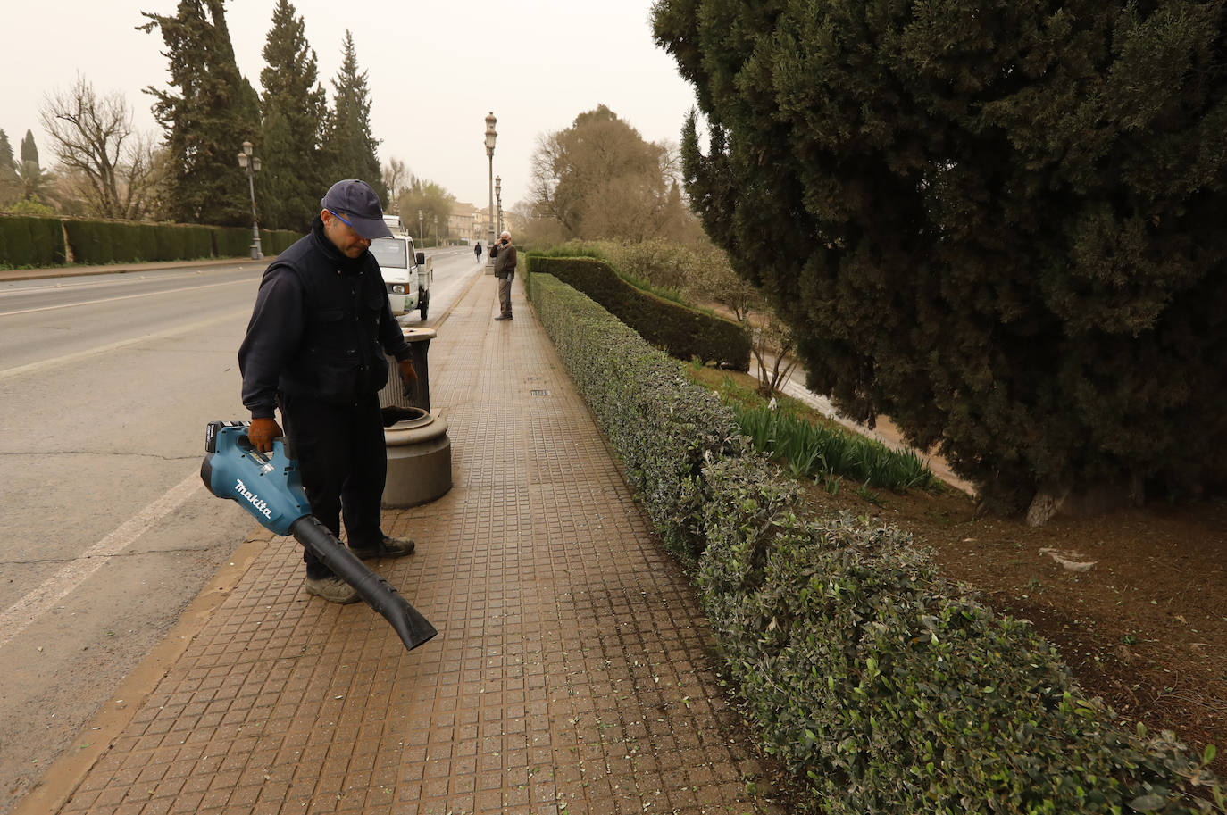 La avenida del Alcázar de Córdoba, en imágenes