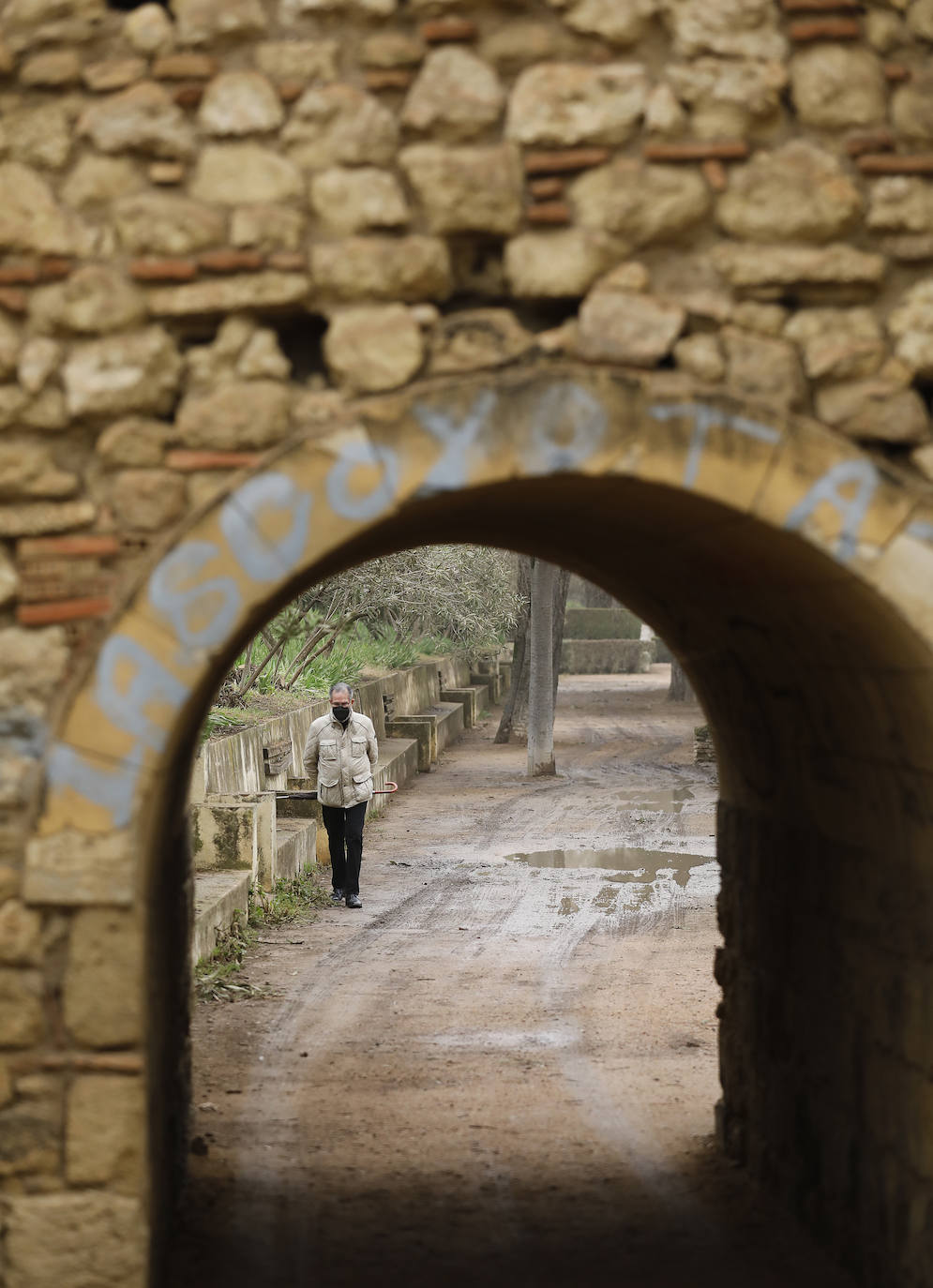 La avenida del Alcázar de Córdoba, en imágenes