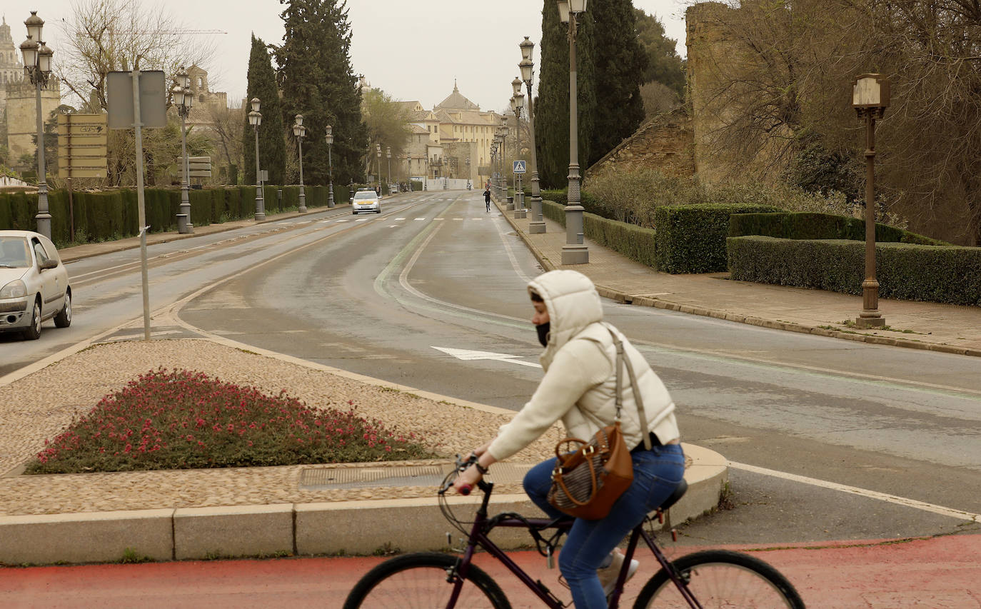 La avenida del Alcázar de Córdoba, en imágenes