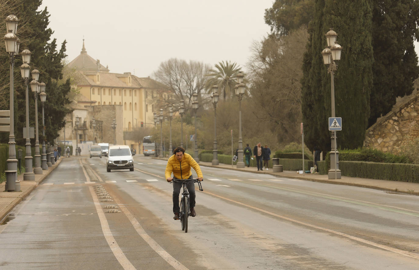 La avenida del Alcázar de Córdoba, en imágenes