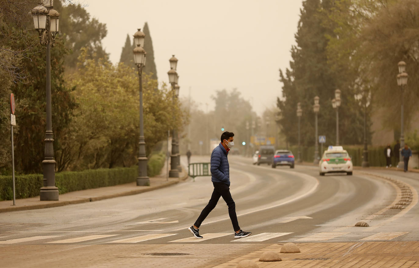 La avenida del Alcázar de Córdoba, en imágenes