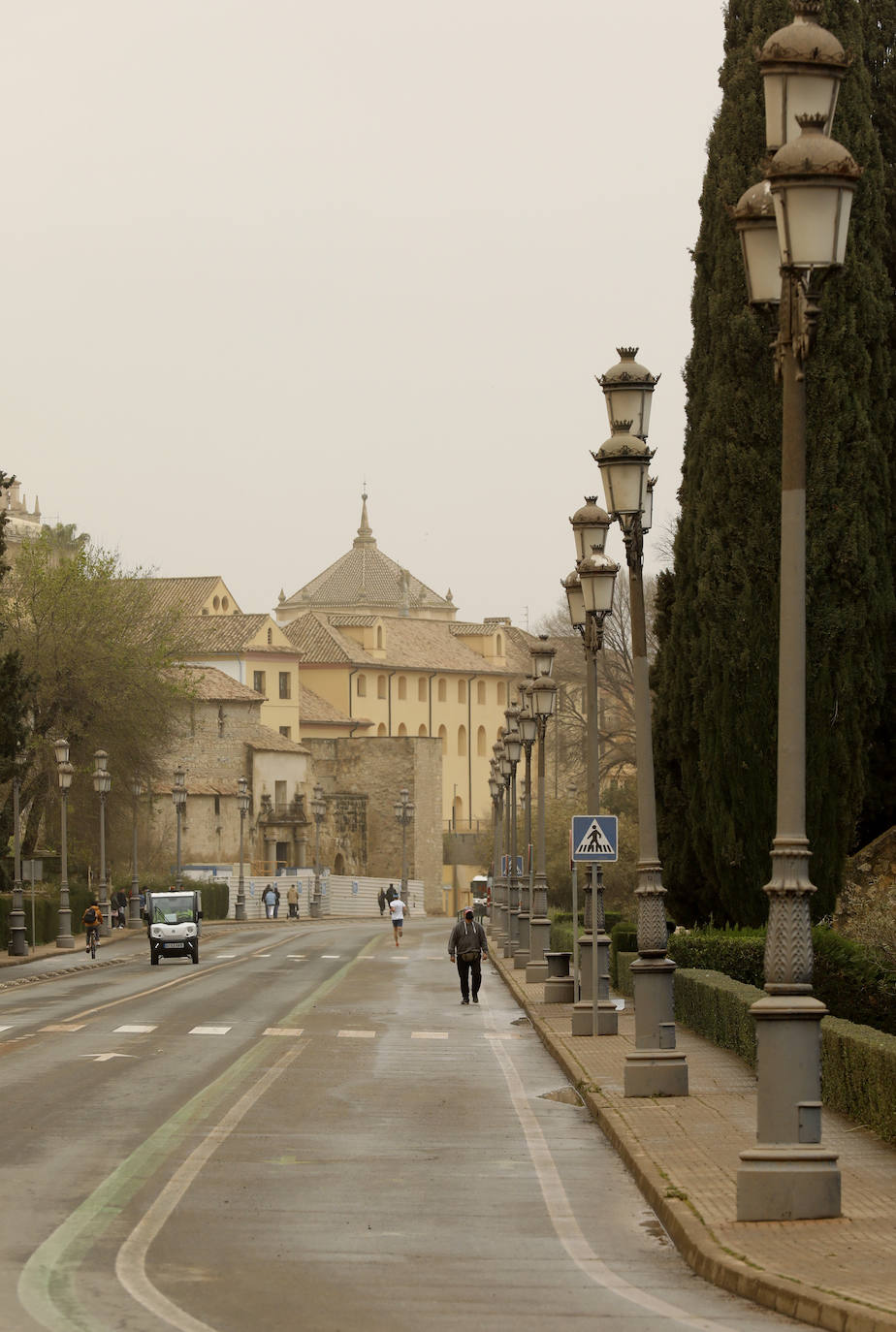 La avenida del Alcázar de Córdoba, en imágenes