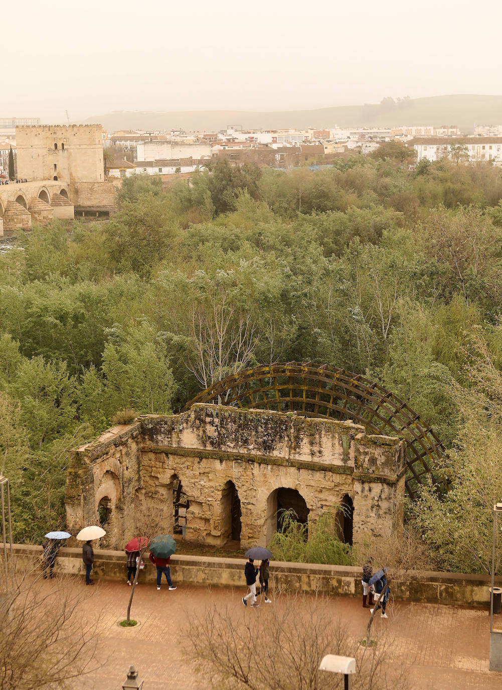 La avenida del Alcázar de Córdoba, en imágenes