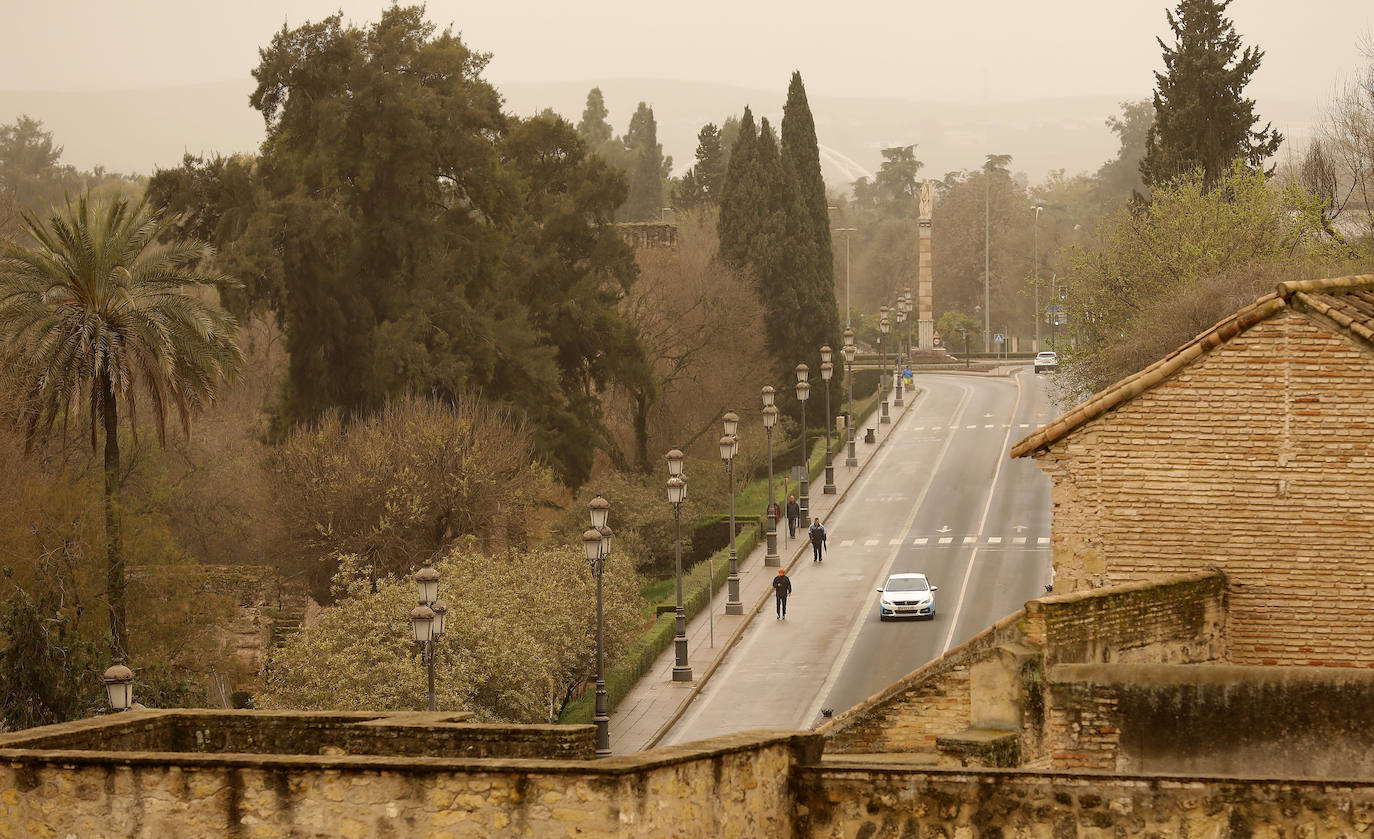 La avenida del Alcázar de Córdoba, en imágenes