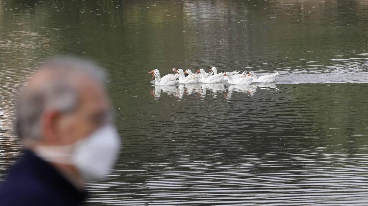 El río y sus proyectos pendientes en Córdoba, en imágenes