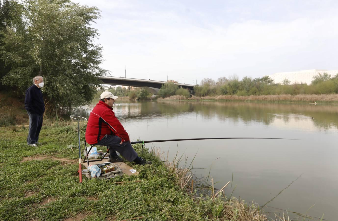 El río y sus proyectos pendientes en Córdoba, en imágenes