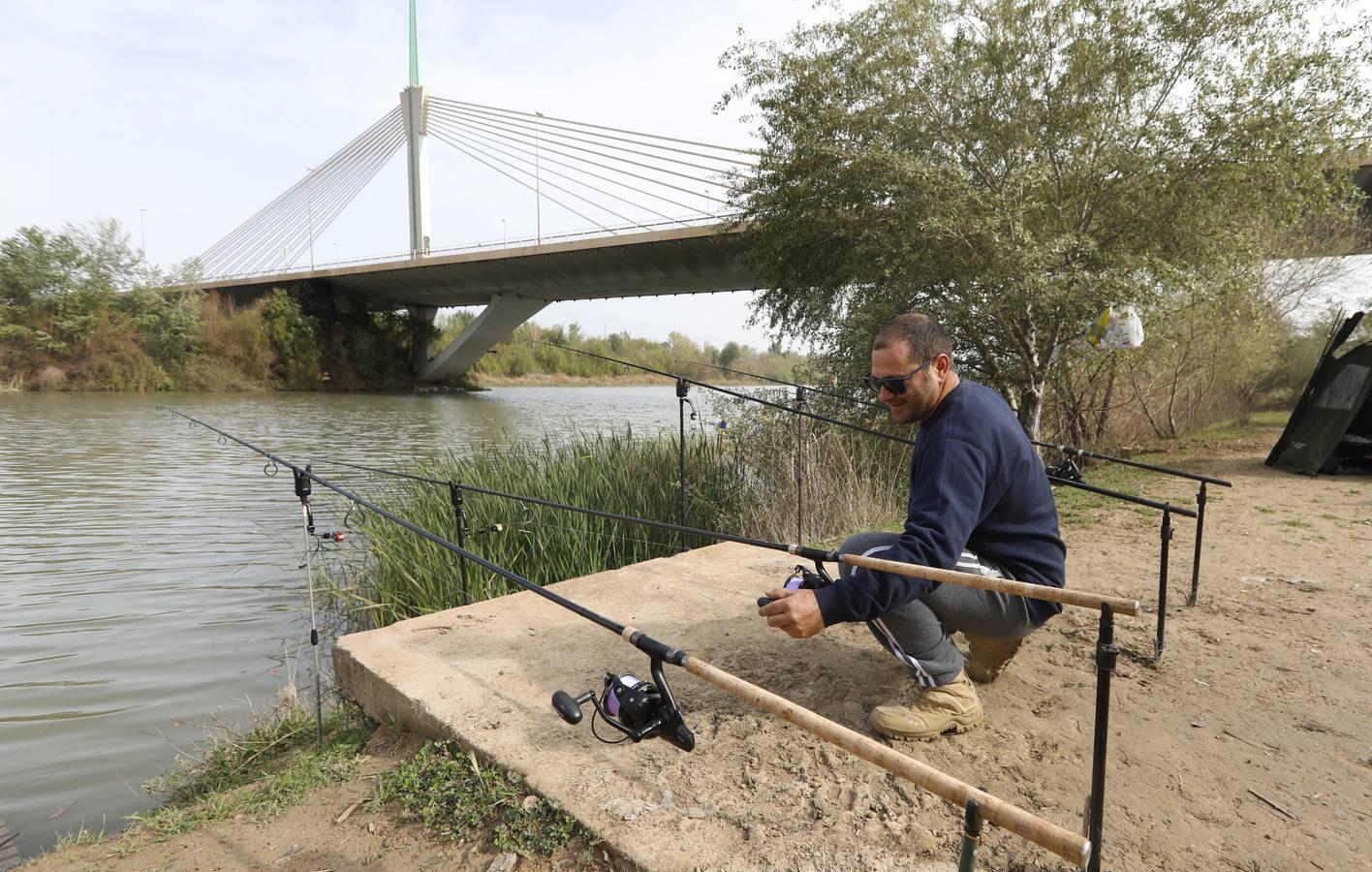 El río y sus proyectos pendientes en Córdoba, en imágenes