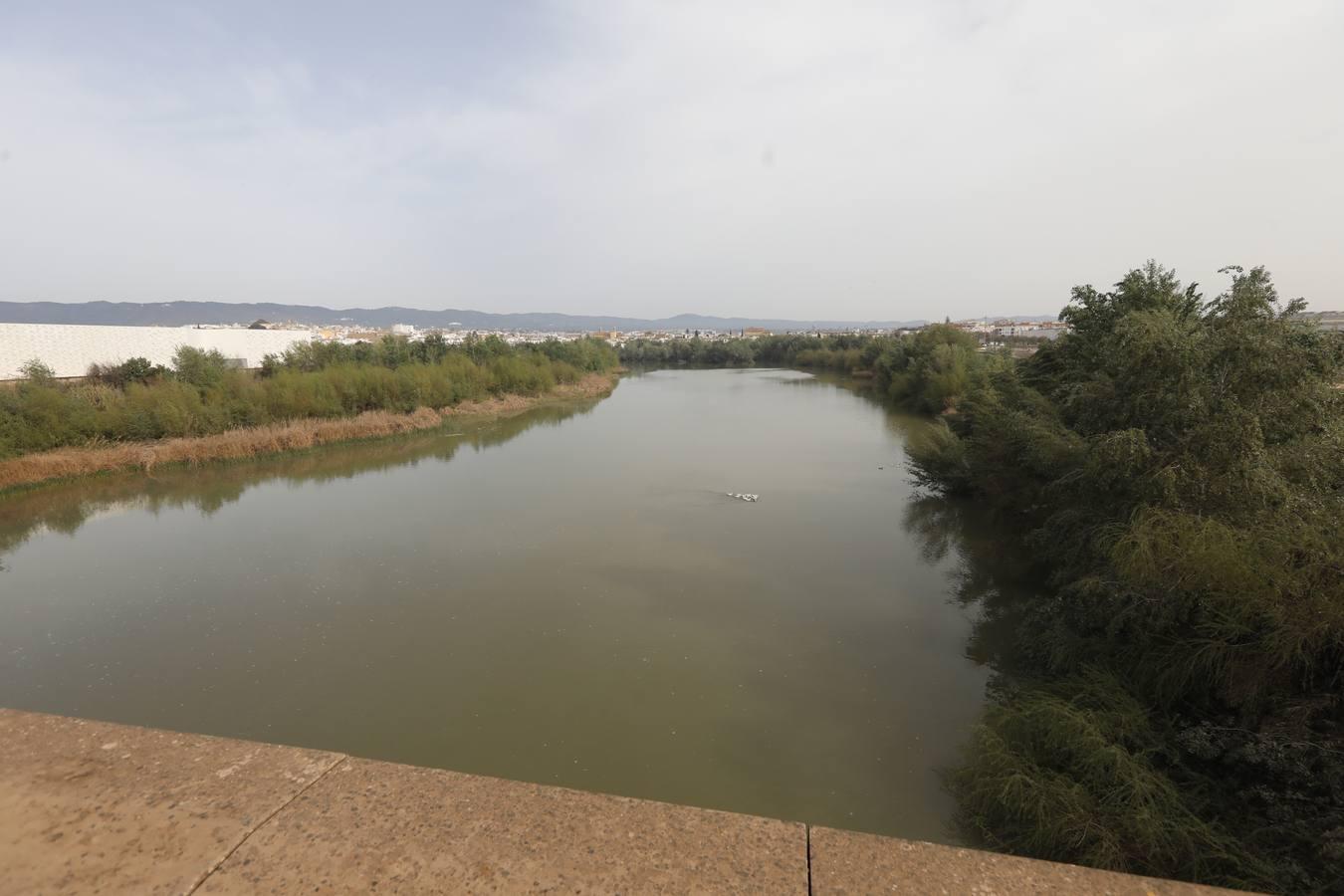 El río y sus proyectos pendientes en Córdoba, en imágenes