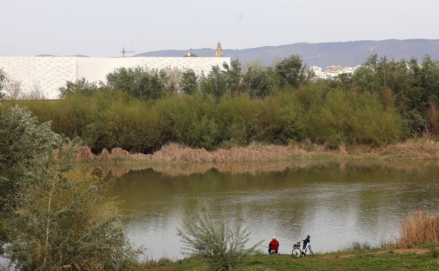 El río y sus proyectos pendientes en Córdoba, en imágenes