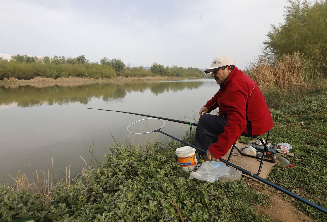 El río y sus proyectos pendientes en Córdoba, en imágenes